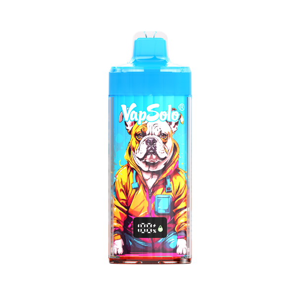 Vaper VAPSOLO strawberry kiwi 40000 caladas x10
