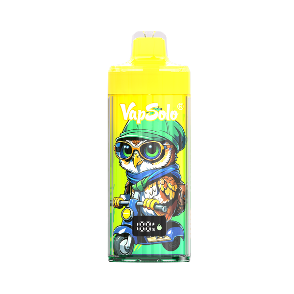 Vaper VAPSOLO lemon lime 40000 caladas x10
